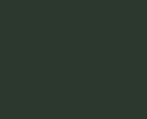 RAL 6009 Tannengrün