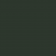 RAL 6009 Tannengrün