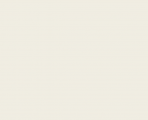 RAL 9010-P Reinweiß